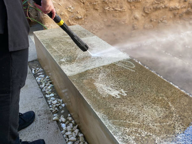 Best Sidewalk Pressure Washing  in Williamstown, KY