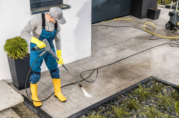 Best Local Pressure Washing Services  in Williamstown, KY