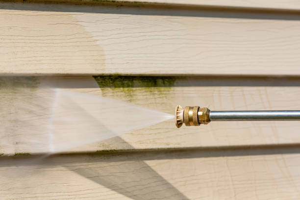 Trusted Williamstown, KY Pressure Washing Experts