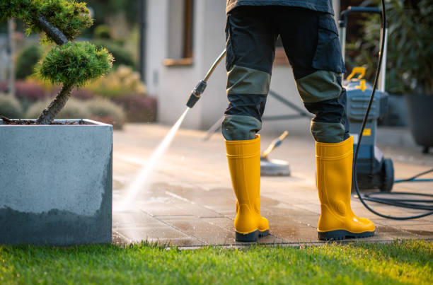 Best Pressure Washing Company Near Me  in Williamstown, KY
